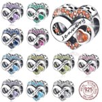 925 Sterling Silver Birthstone Heart Charm Bead for Women | January to December - Image 2